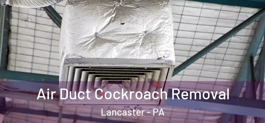 Air Duct Cockroach Removal Lancaster - PA