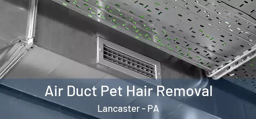  Air Duct Pet Hair Removal Lancaster - PA