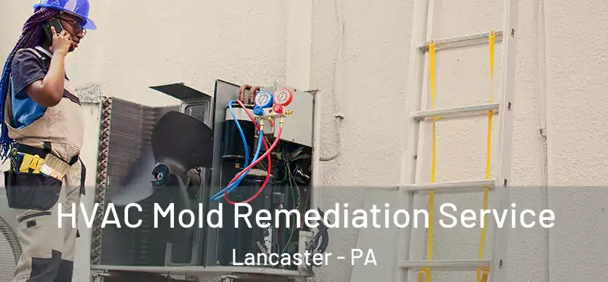  HVAC Mold Remediation Service Lancaster - PA