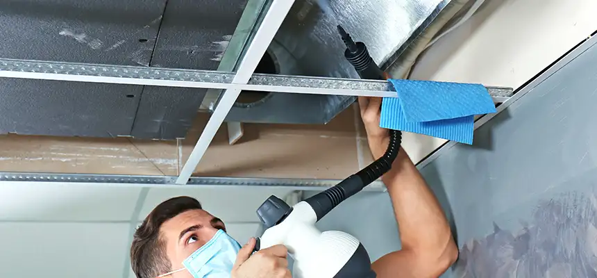 Our Air Duct Rodent Removal Services in Lancaster, PA