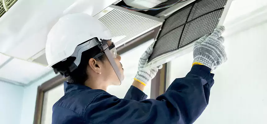 Our Mold & Mildew Removal from Air Ducts Services in Lancaster, PA