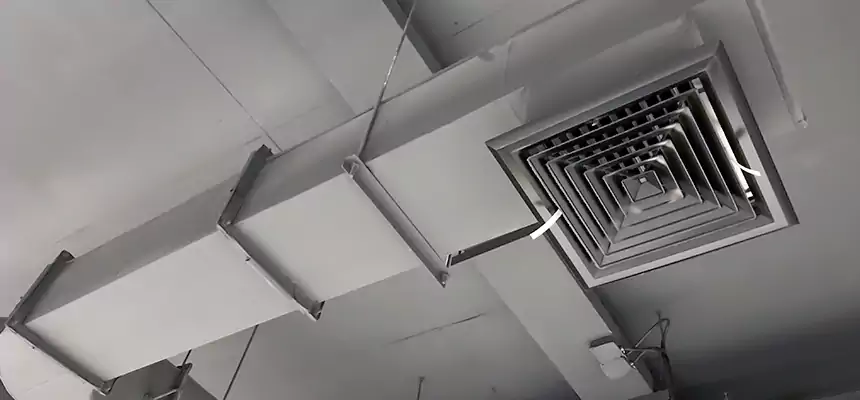 Our Pest Removal From Ducts Services in Lancaster, PA