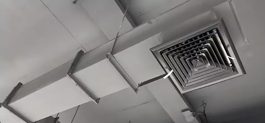 Our Rodent Droppings In Vents Services in Lancaster, PA