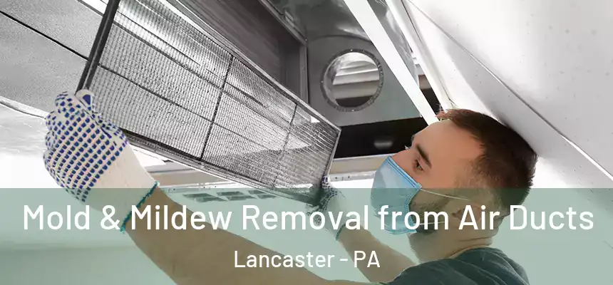  Mold & Mildew Removal from Air Ducts Lancaster - PA