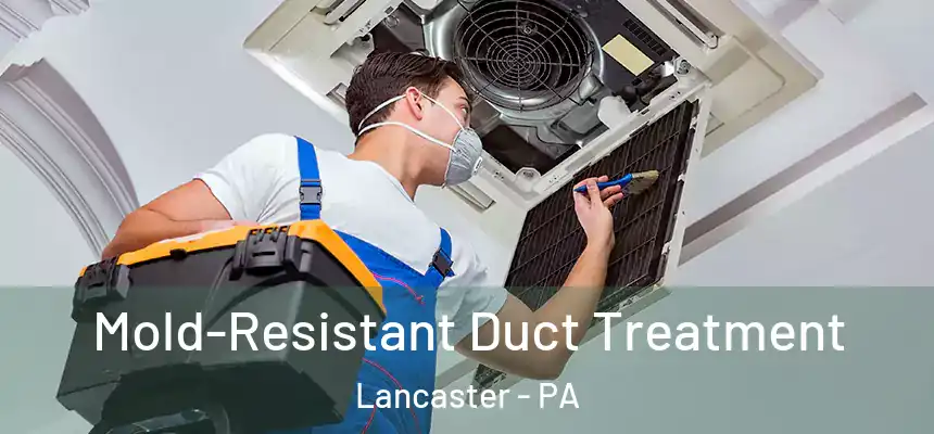  Mold-Resistant Duct Treatment Lancaster - PA