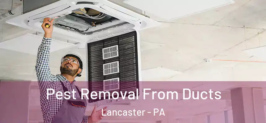 Pest Removal From Ducts Lancaster - PA