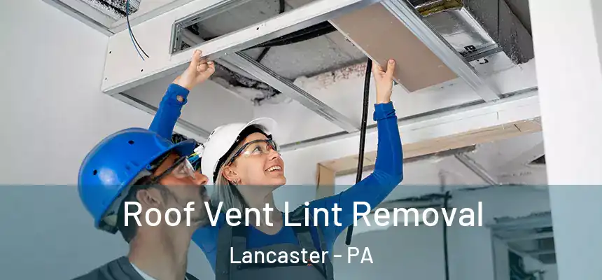  Roof Vent Lint Removal Lancaster - PA