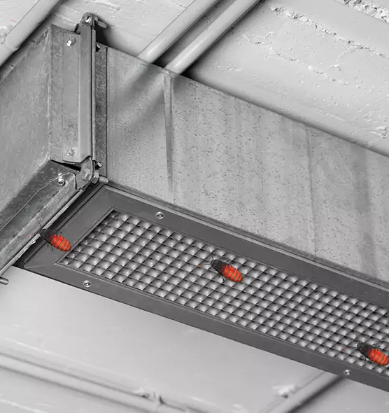 Affordable Insect Removal from Air Ducts in Lancaster, PA