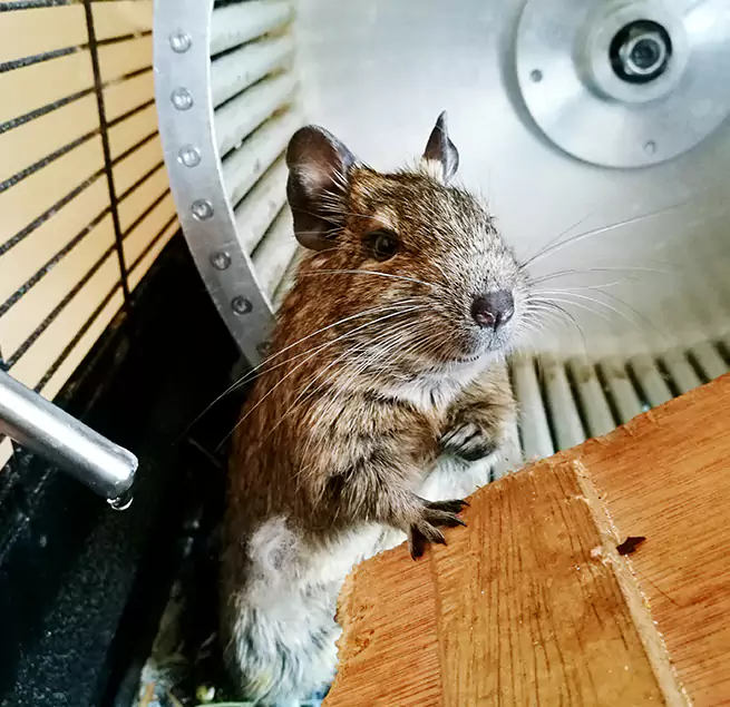 Why Homeowners & Businesses Trust Us Lancaster, PA